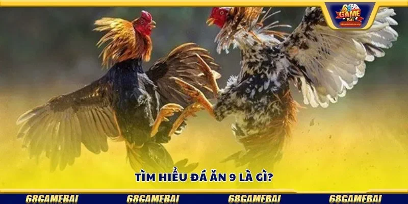 Tìm hiểu đá ăn 9 là gì?